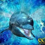 Clássicos Ecco the Dolphin estão sendo remasterizados e ganharão sequência inédita Ecco the Dolphin remake
