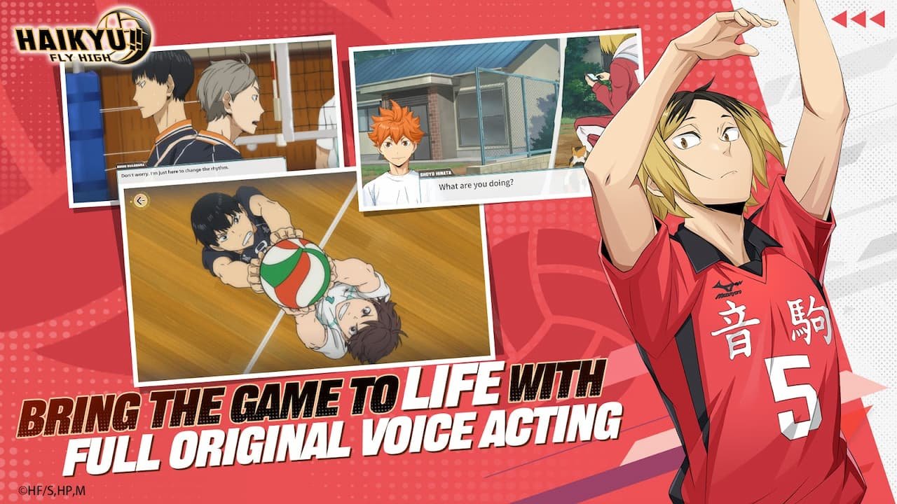 Haikyu!! Fly High