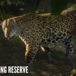 theHunter: Call of the Wild leva caçadores ao Peru em nova expansão com 14 espécies e três biomas inéditos