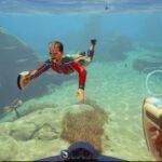 Subnautica 2 recebe primeira grande atualização do Acesso Antecipado com novos Biomods e melhorias no cooperativo