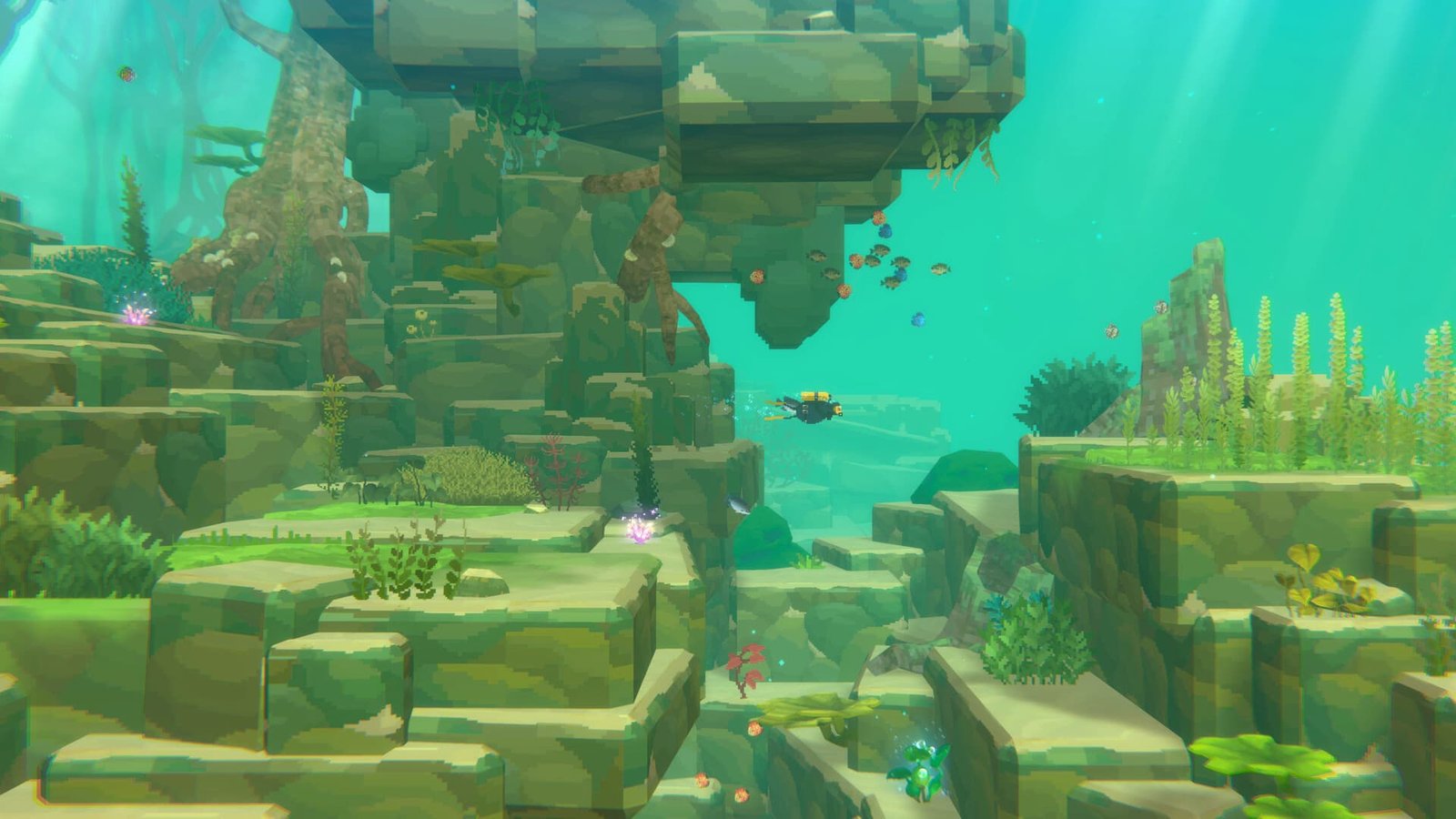 Dave the Diver: In the Jungle review