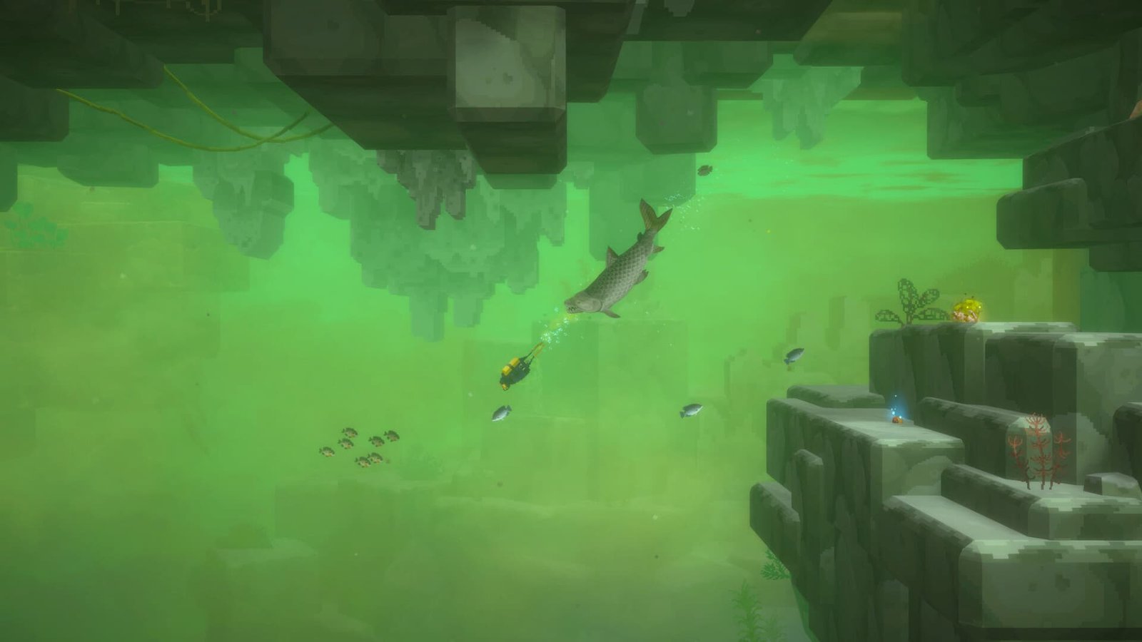 Dave the Diver: In the Jungle review