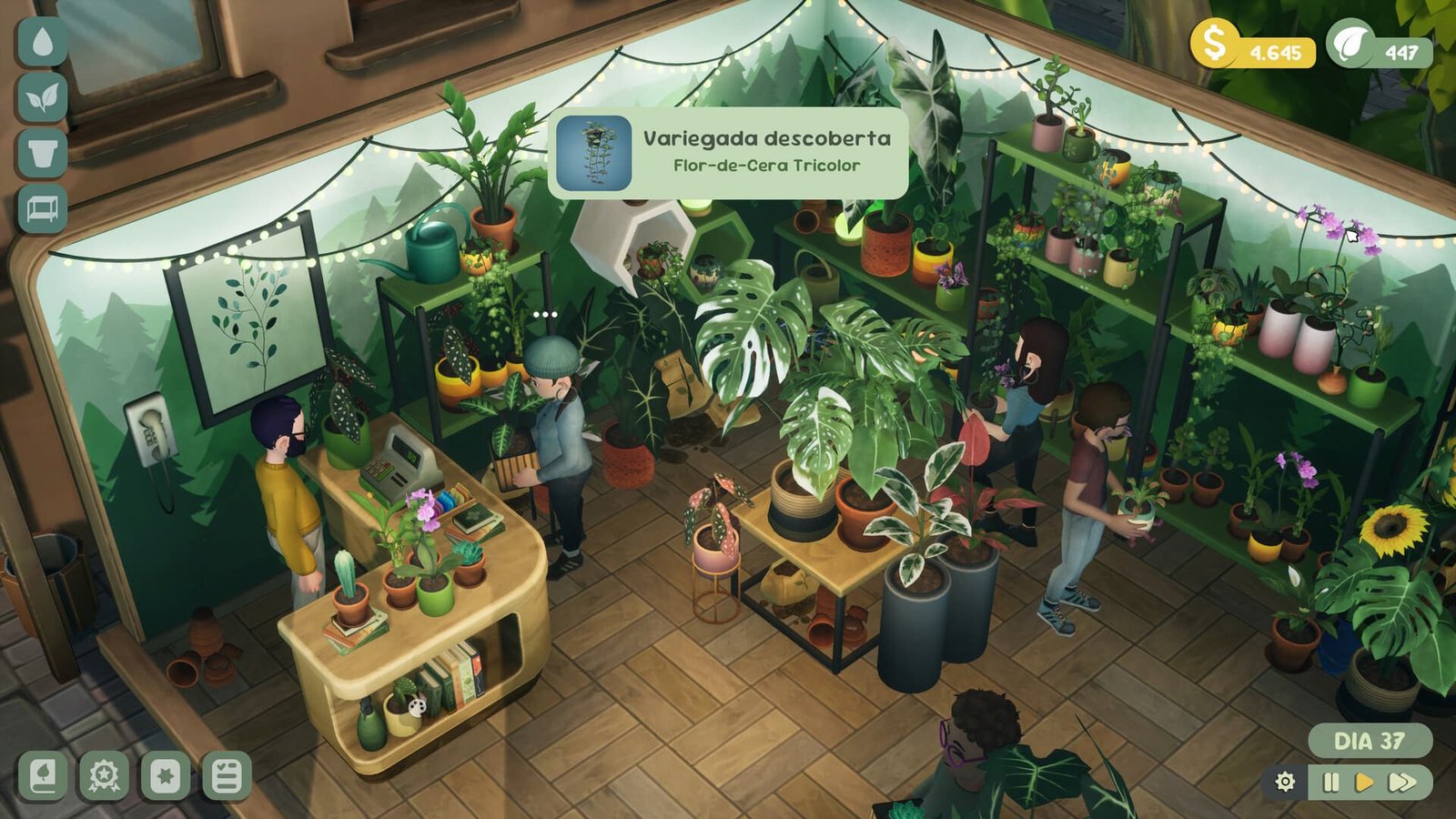 Leafy Corner review